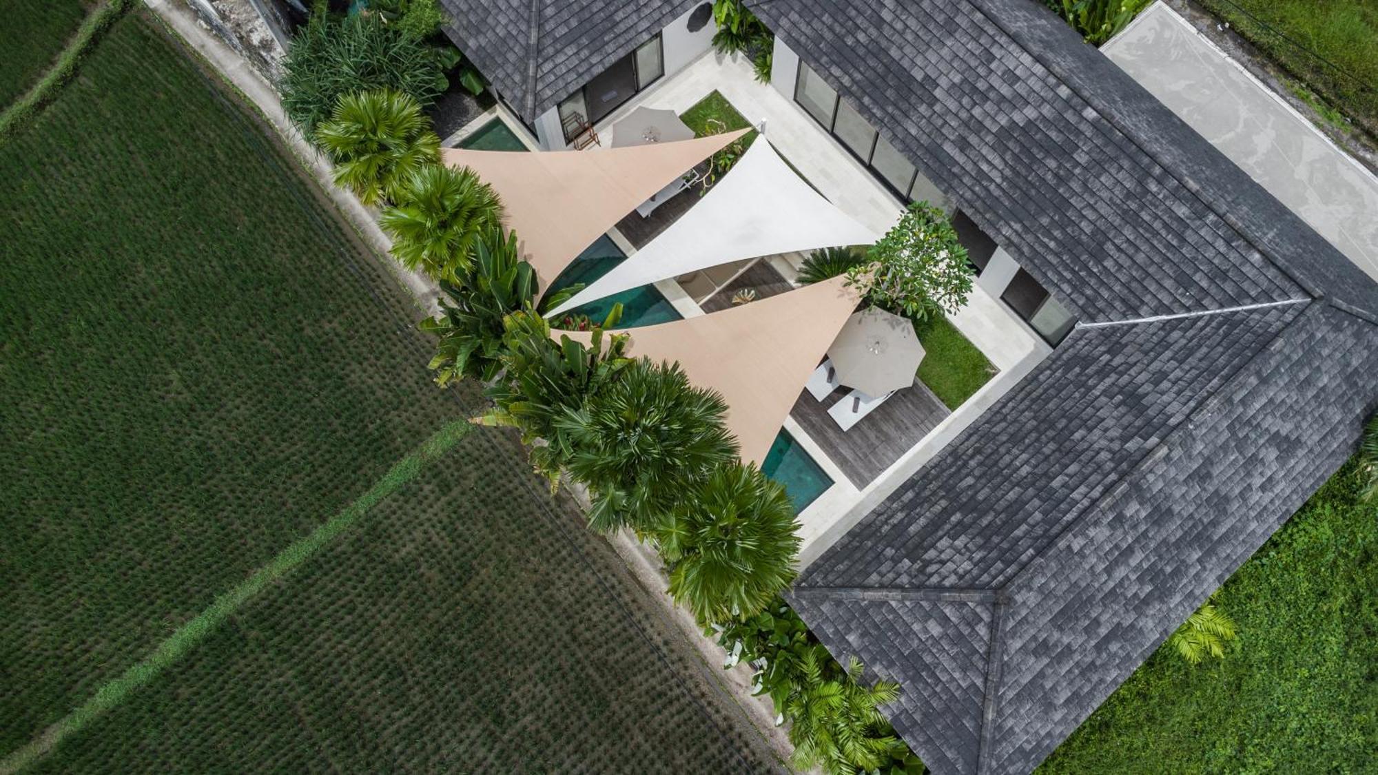 Villa Griya Dedari By Balisuperhost أوبود المظهر الخارجي الصورة